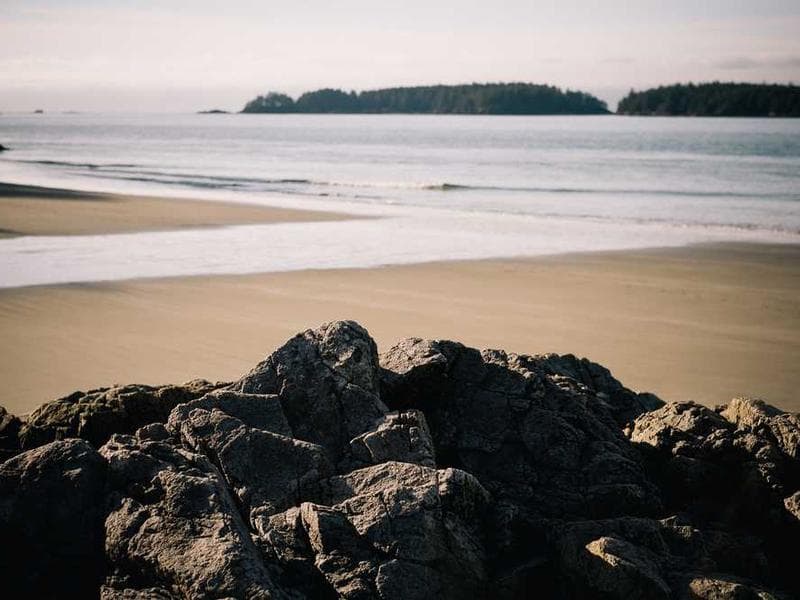 Master preparing tea with precise movements