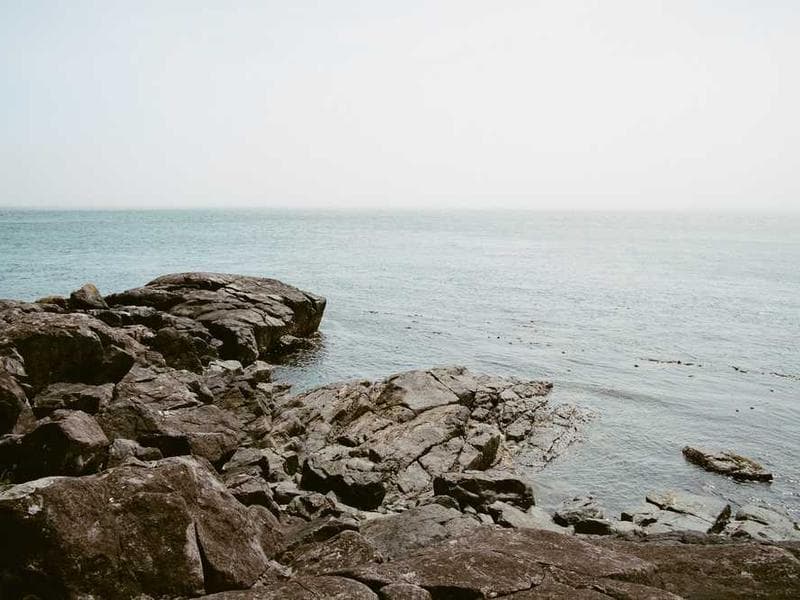 Rosa arranging flowers at her stall