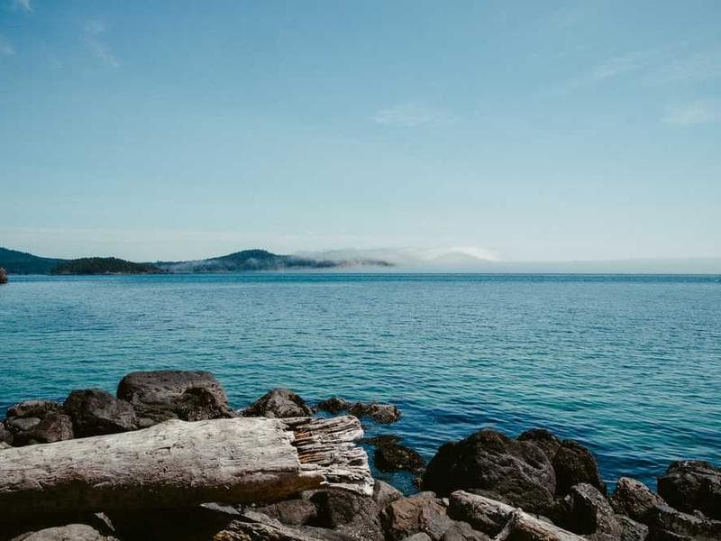 Bustling market scene with colorful stalls